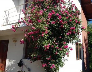 , 200m2 dans Cluj-napoca