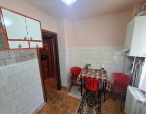 Appartement 2 chambres à louer dans Cluj-napoca, zone Manastur