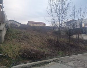 , 1050m2 dans Cluj-napoca, zone Borhanci
