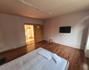 Maison 3 chambres à louer dans Cluj-napoca, zone Iris