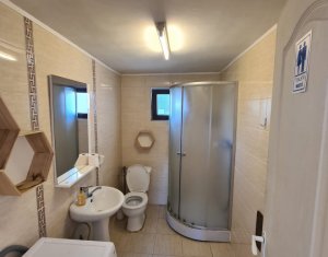 Maison 3 chambres à louer dans Cluj-napoca, zone Iris