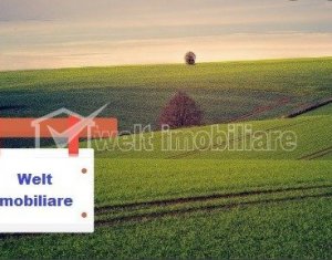 Terrain à vendre dans Cluj-napoca, zone Grigorescu