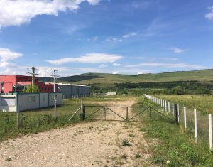 Terrain à louer dans Floresti