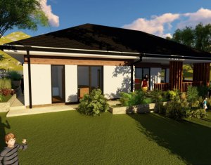 Maison 4 chambres à vendre dans Chinteni