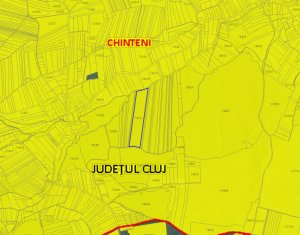 Land for sale in Padureni (chinteni)