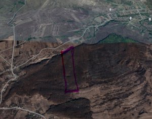 Land for sale in Padureni (chinteni)