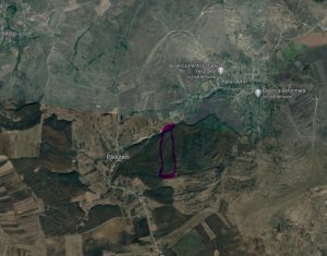 Land for sale in Padureni (chinteni)