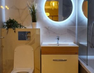 Appartement 2 chambres à louer dans Cluj-napoca, zone Europa