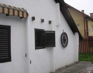 Ház 4 szobák kiadó on Cluj-napoca, Zóna Andrei Muresanu