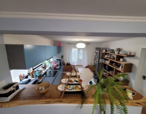 Maison 6 chambres à vendre dans Salicea, zone Centru