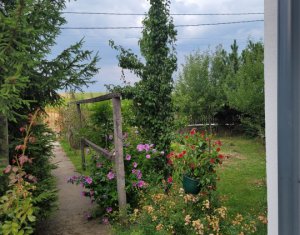 Maison 6 chambres à vendre dans Salicea, zone Centru