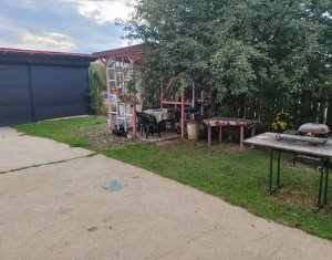 Maison 6 chambres à vendre dans Salicea, zone Centru