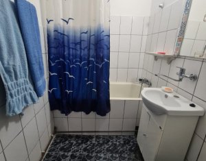 Appartement 2 chambres à louer dans Cluj-napoca, zone Grigorescu