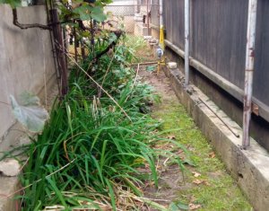 Ház 3 szobák eladó on Cluj-napoca, Zóna Manastur