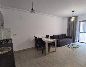 Appartement 2 chambres à louer dans Cluj-napoca, zone Europa