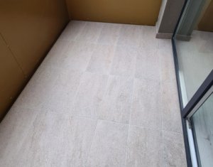 Appartement 2 chambres à louer dans Cluj-napoca, zone Europa