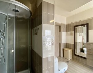 Appartement 3 chambres à louer dans Cluj-napoca, zone Borhanci