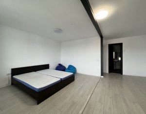 Maison 5 chambres à louer dans Cluj-napoca, zone Europa