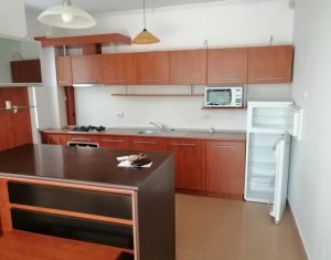 Appartement 2 chambres à louer dans Cluj-napoca, zone Andrei Muresanu