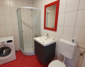 Appartement 1 chambres à louer dans Floresti