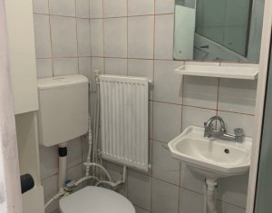 Appartement 1 chambres à vendre dans Cluj-napoca, zone Iris