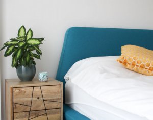 Appartement 2 chambres à louer dans Cluj-napoca, zone Centru