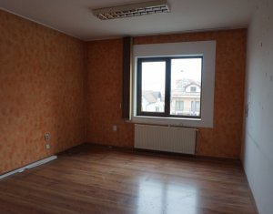 Maison 6 chambres à louer dans Cluj-napoca, zone Andrei Muresanu
