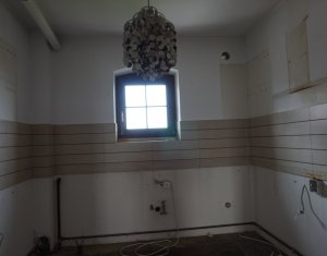 Maison 6 chambres à louer dans Cluj-napoca, zone Andrei Muresanu