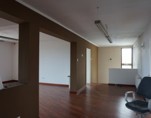 Maison 6 chambres à louer dans Cluj-napoca, zone Andrei Muresanu