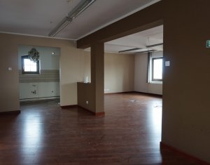 Maison 6 chambres à louer dans Cluj-napoca, zone Andrei Muresanu