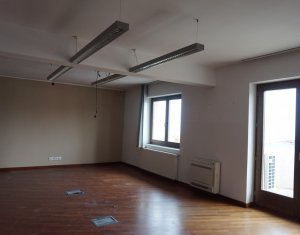 Maison 6 chambres à louer dans Cluj-napoca, zone Andrei Muresanu