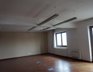 Maison 6 chambres à louer dans Cluj-napoca, zone Andrei Muresanu