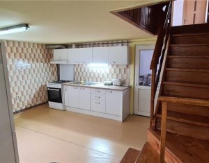 Maison 4 chambres à louer dans Cluj-napoca, zone Centru