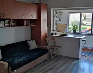 Appartement 1 chambres à vendre dans Cluj-napoca, zone Plopilor