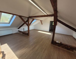 Maison 10 chambres à louer dans Cluj-napoca, zone Grigorescu
