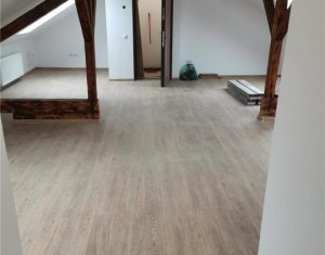 Maison 10 chambres à louer dans Cluj-napoca, zone Grigorescu