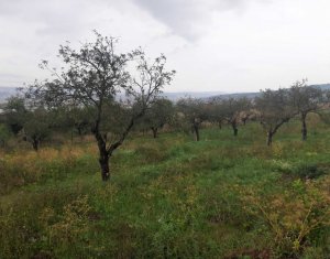 Terrain à vendre dans Cluj-napoca, zone Iris