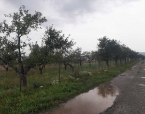 Terrain à vendre dans Cluj-napoca, zone Iris