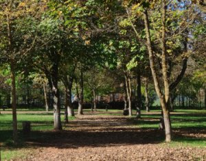 , 29700m2 dans Gilau