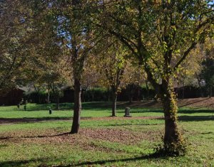 Terrain à vendre dans Gilau