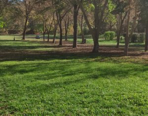 Terrain à vendre dans Gilau