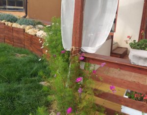 Maison 4 chambres à vendre dans Salicea, zone Centru