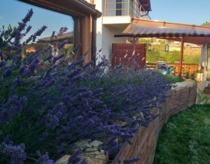 Maison 4 chambres à vendre dans Salicea, zone Centru