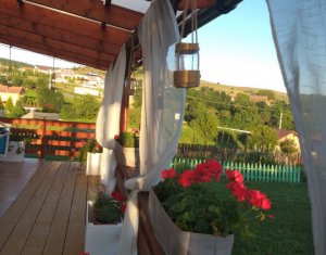 Maison 4 chambres à vendre dans Salicea, zone Centru