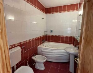 Appartement 4 chambres à louer dans Cluj-napoca, zone Centru