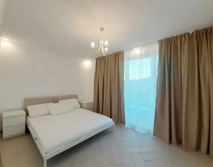 Appartement 1 chambres à louer dans Floresti