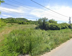 Terrain à vendre dans Soimeni