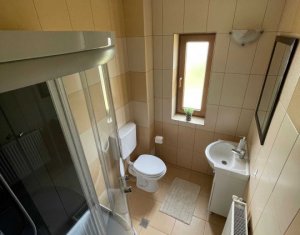 Maison 3 chambres à louer dans Cluj-napoca, zone Buna Ziua