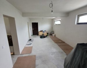 Maison 5 chambres à vendre dans Cluj-napoca, zone Iris