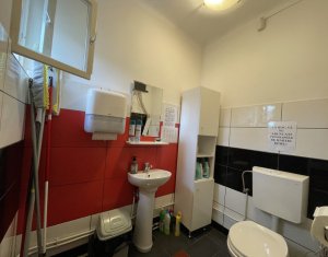 Maison 5 chambres à louer dans Cluj-napoca, zone Gheorgheni